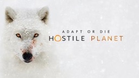 Hostile Planet Hero